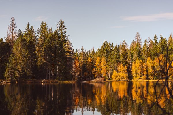 Comment obtenir un visa pour visiter le Jura ?